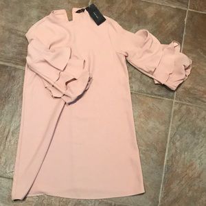Rose Basic Zara Dress with mid length sleeves